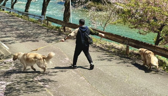 ワンコ2匹散歩