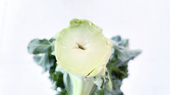 茎に穴があいたブロッコリーの写真