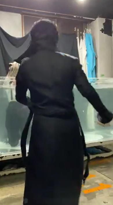 水中中島06