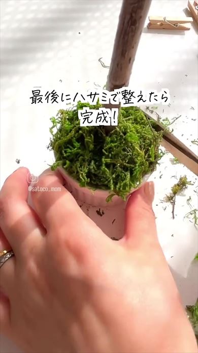 モスをハサミでカットする画像