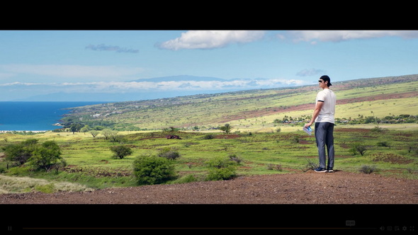 大谷翔平 別荘 ハワイ