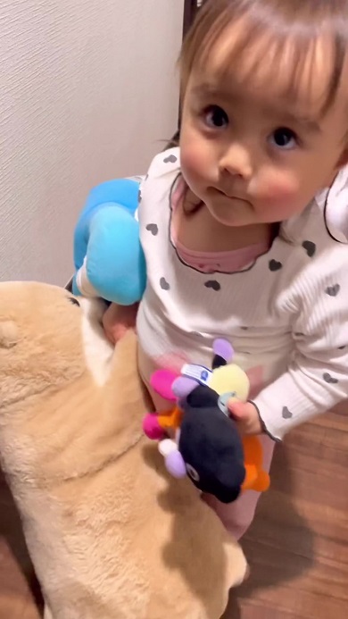 たくさんのぬいぐるみを連れて眠ろうとする娘