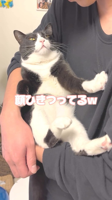 顔ひきつってる