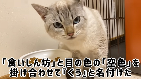 食いしん坊と目の色