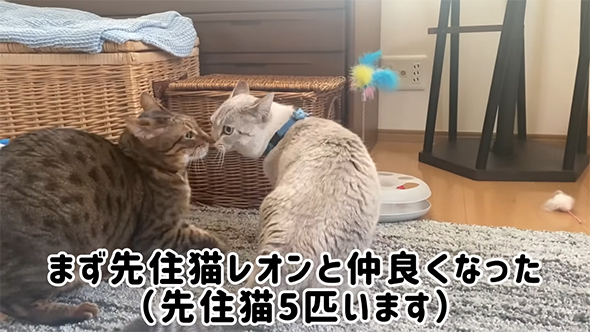 レオンくんと仲良くなった