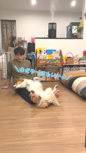 まだやっていいよ