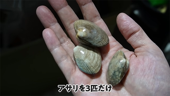 アサリを3匹だけ