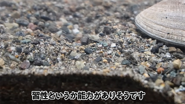 習性というか能力が