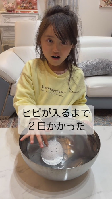 ペンギンのたまごを育てる女の子