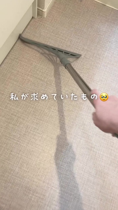 ダイソーで販売されているマルチ万能ほうきを発見した投稿者