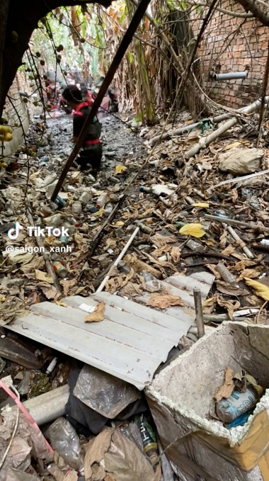 環境問題 ゴミ そうじ