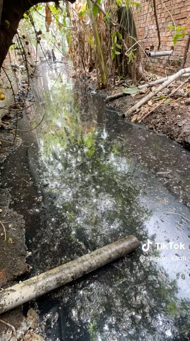 環境問題 ゴミ そうじ