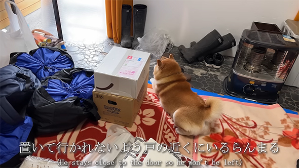 置いていかれないように