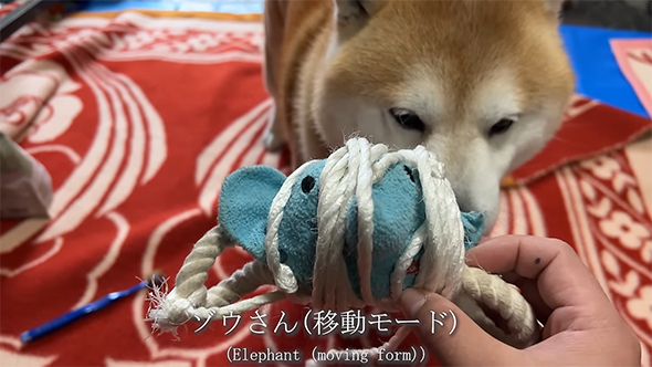 ゾウさん移動モード