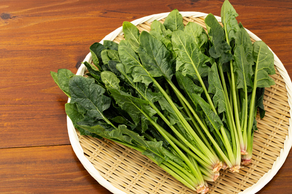 ホウレンソウ 品種名 住化農業資材 イフリートのおひたし 強そうすぎる