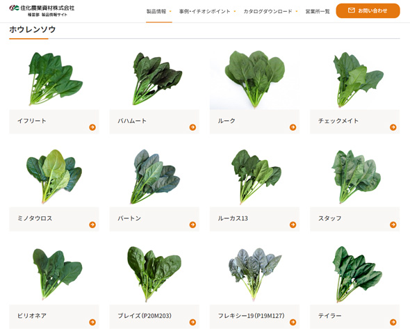 ホウレンソウ 品種名 住化農業資材 イフリートのおひたし 強そうすぎる