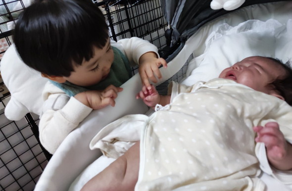 赤ちゃんの弟に触れるお兄ちゃん