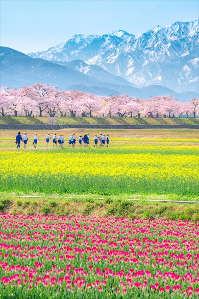 富山　四重奏　写真　風景