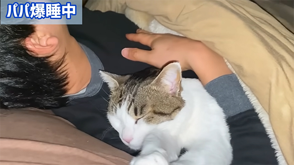 パパ爆睡中