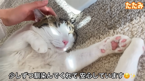 少しずつ馴染んでくれて