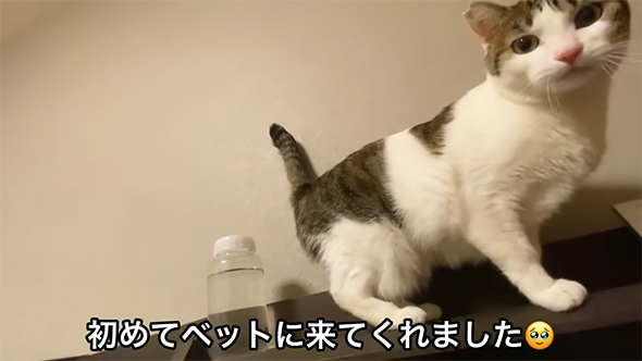 初めてベッドに来てくれました