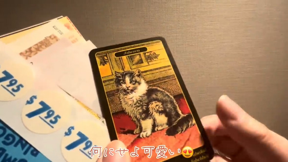 メルカリで300円で紙モノセットを購入して開封動画