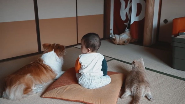 赤ちゃんとワンコと猫ちゃんがワンコのおケツを見ている様子