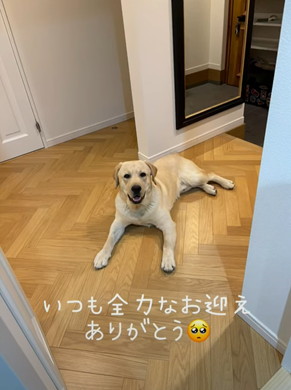 遊びつかれた子猫を寝かしつけ