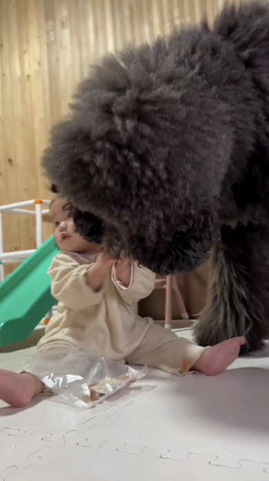 あおたんくんと人間の妹