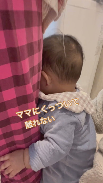 ママにくっついている赤ちゃん