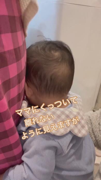 ママにくっついている赤ちゃん