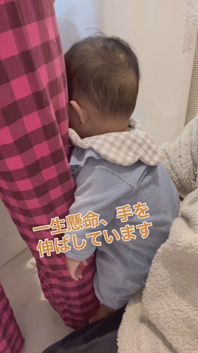 ママにくっついている赤ちゃん