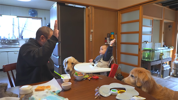 手を上げる赤ちゃん