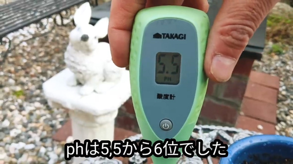 雑草対策 簡単 ドクダミ 生えなくする 方法 駆除 除去