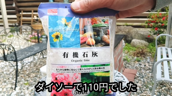雑草対策 簡単 ドクダミ 生えなくする 方法 駆除 除去