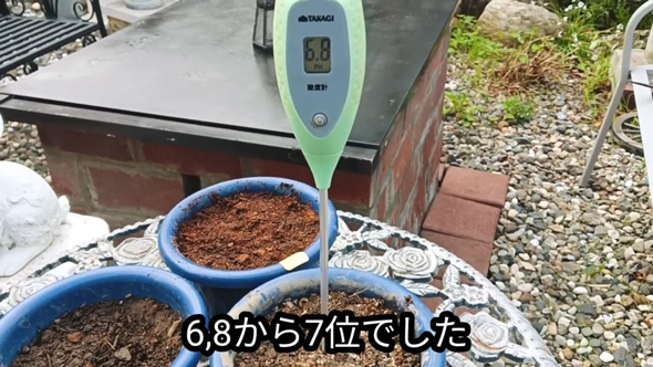 雑草対策 簡単 ドクダミ 生えなくする 方法 駆除 除去