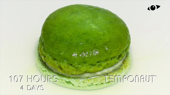 グリーンマカロン　タイムラプスビデオ