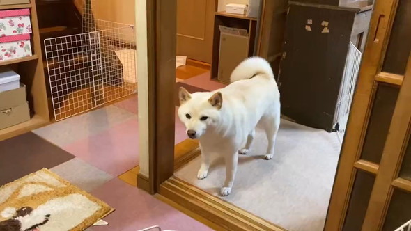 おすすめ