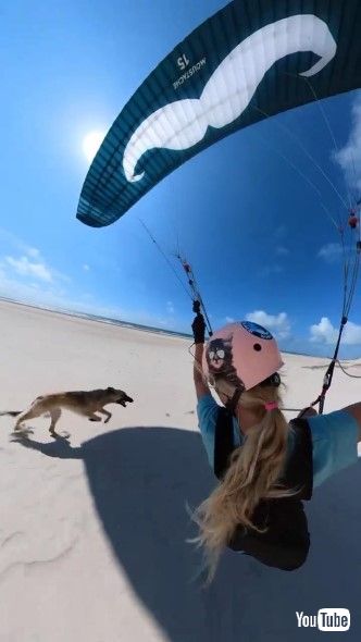 パラグライダー中の女性と並走する犬