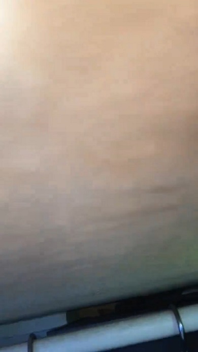 物音がするので天井を撮影したところ2つのハチの巣を発見