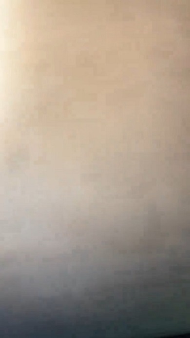 物音がするので天井を撮影したところ2つのハチの巣を発見