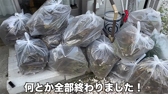 何とか全部終わりました