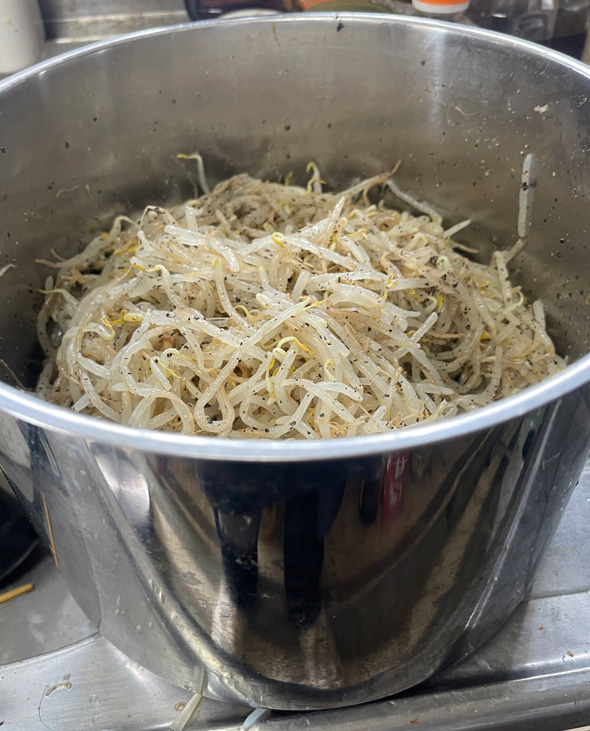 もやし 4キロ 一人暮らし 調理