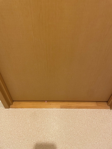 トイレからおそるおそる出なければならない理由