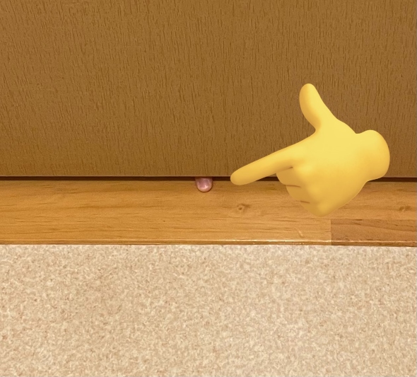 トイレからおそるおそる出なければならない理由