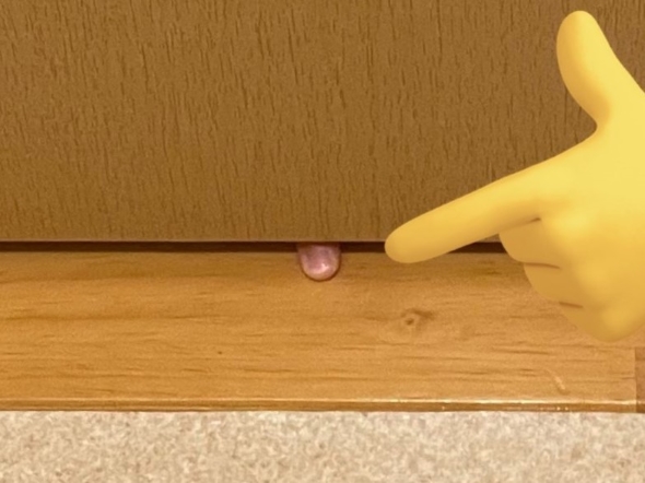 トイレからおそるおそる出なければならない理由