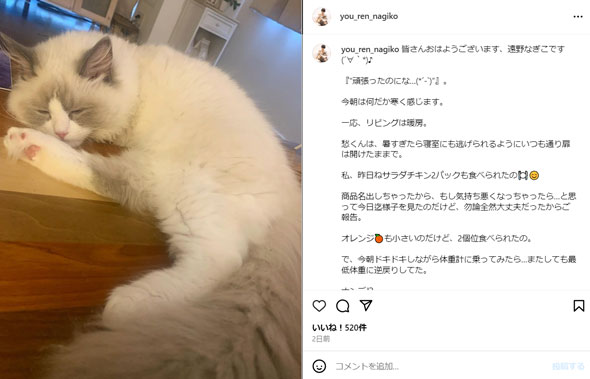 遠野なぎこInstagram