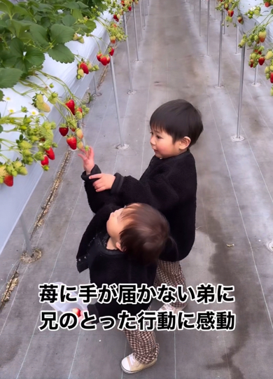 腕を引っ張り手伝ってあげる兄