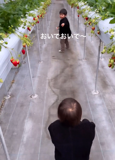 別の場所へ誘導する兄