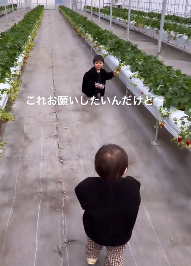 「これお願いしたいんだけど〜」とお願いをする兄